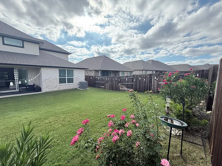 Backyard View (with bird bath & feeder)