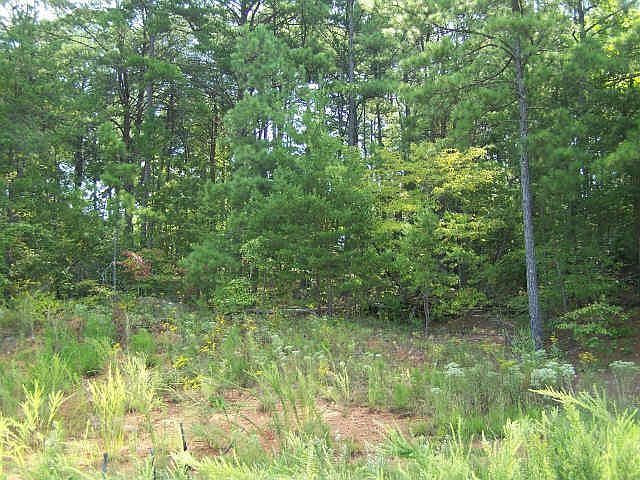 1st image of 46 Lake Overlook Dr