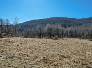 0 Cold Spring Run, Deposit, NY 13754