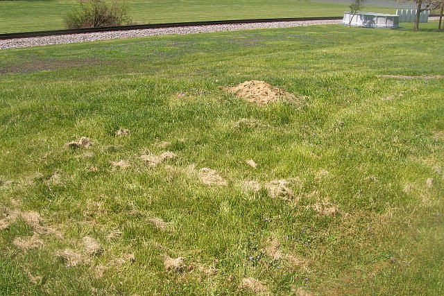 1st image of 0 PLEASANTS ROAD