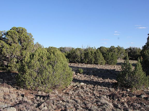 2nd image of 8623 TBD County Road 8623 -- #62