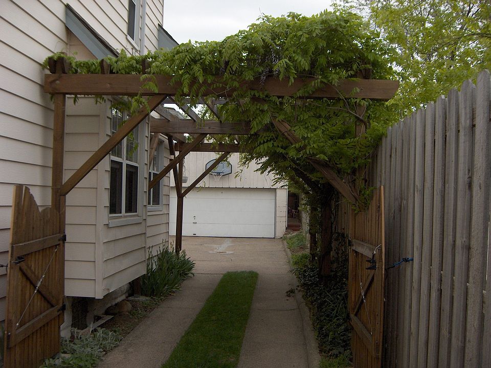 Wisteria covered Arbour