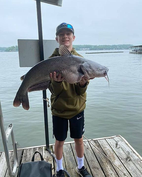 We catch lots of these.