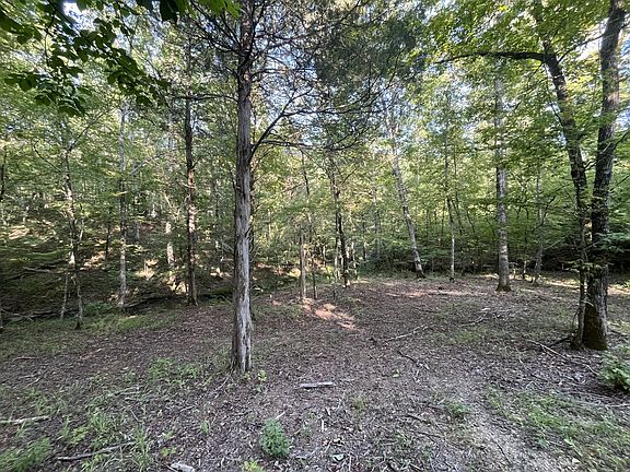 5th image of 481 Hillbrook Dr