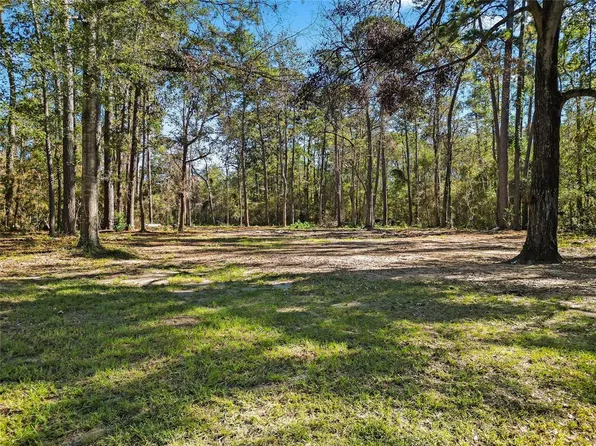 15237 Forest Lane, Conroe, TX 77306
