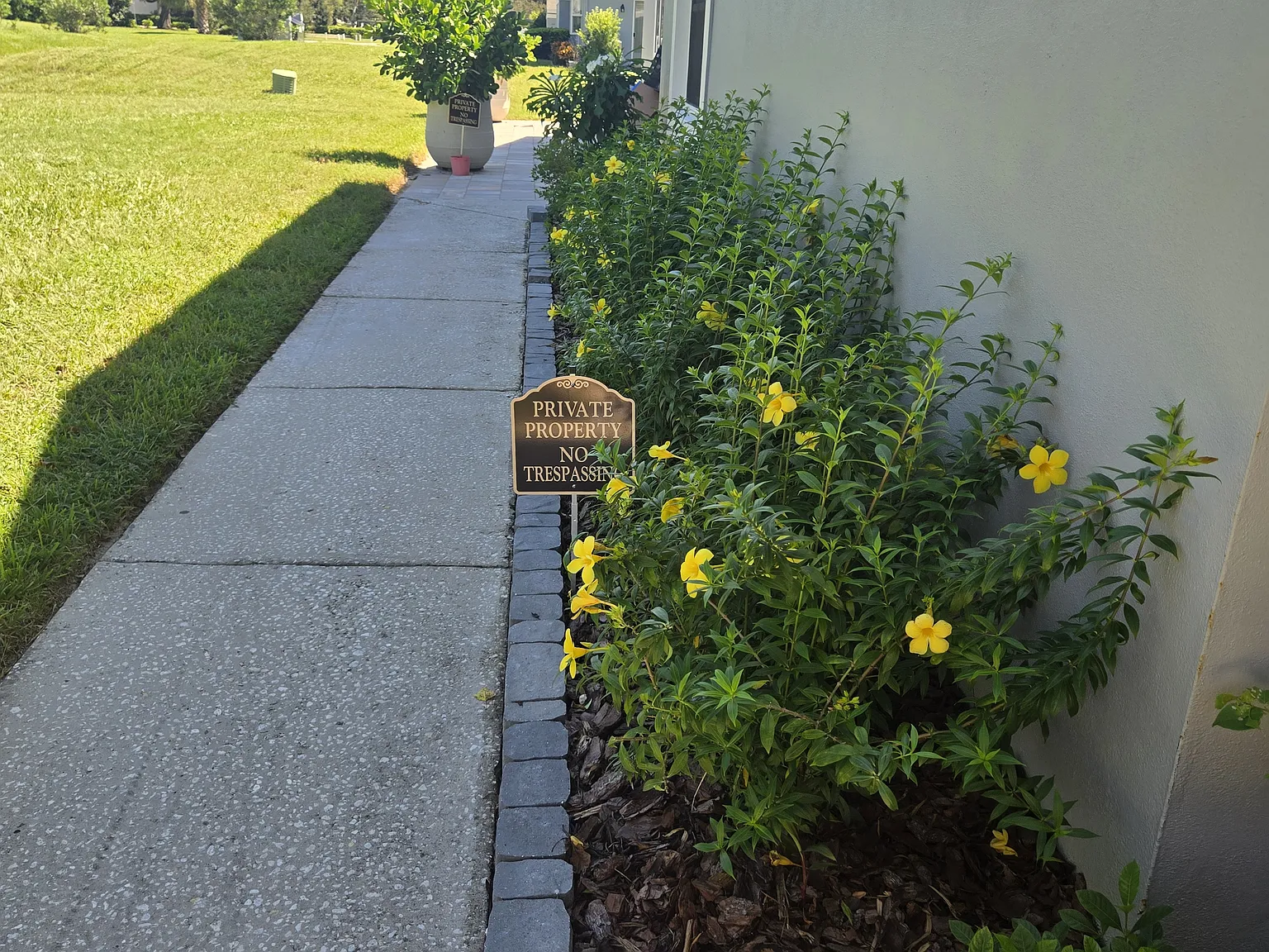 Cadhay Ct, Safety Harbor — Photo 3