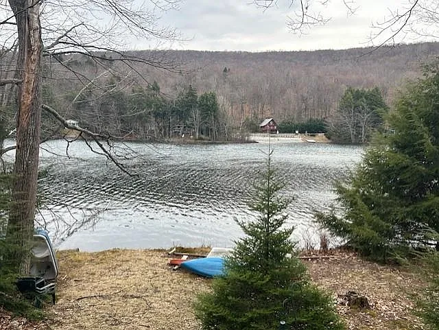 319 Chalk Pond Rd — Photo 15
