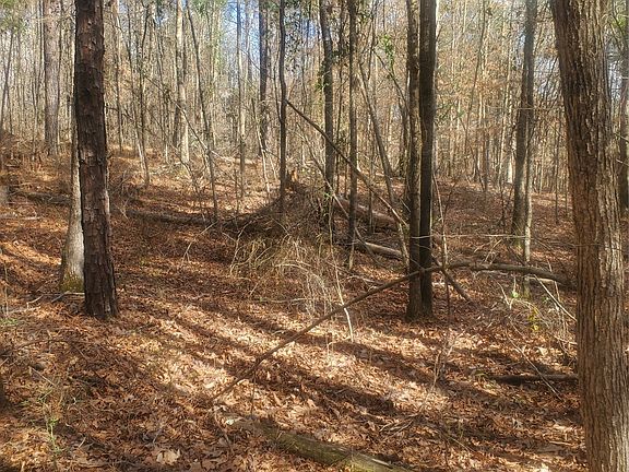 3rd image of 0 Pleasant Hill Rd