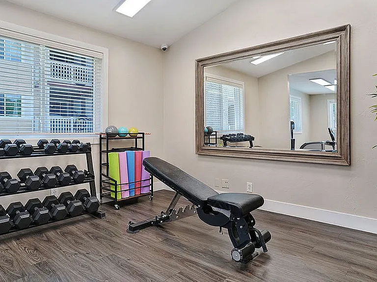 Free Weights
