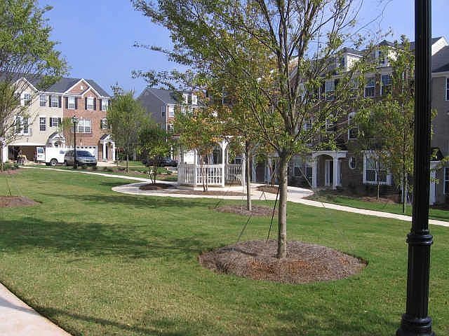 Central park area