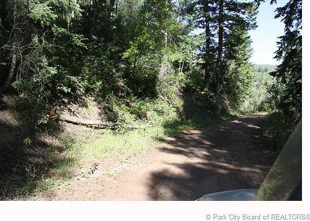 1st image of 167 Porcupine Loop #167