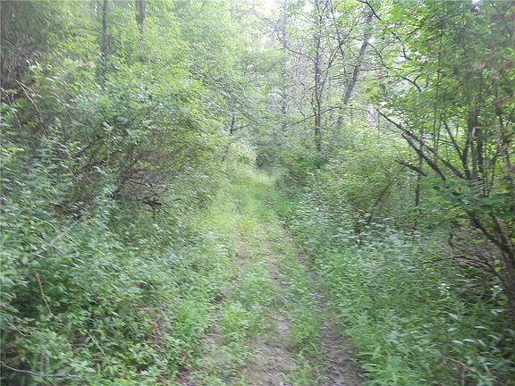 3rd image of Gridleyville Rd