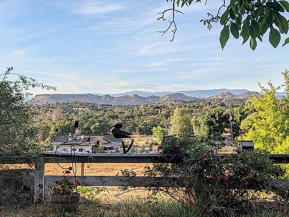 View of Pasture from Yard
