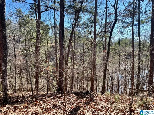 Oak Leaf Dr #6, Wedowee, AL 36278