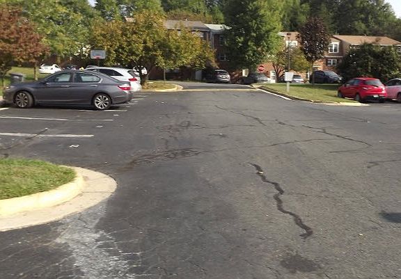 5th image of 14830 Dorian Dr
