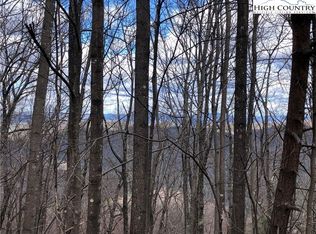 21 Bobcat Mountain Rd, Purlear, NC 28665