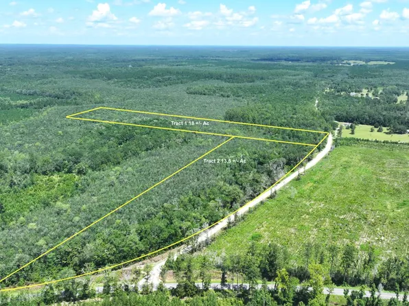 Xx Baron Harcus Rd, Bonifay, FL 32425