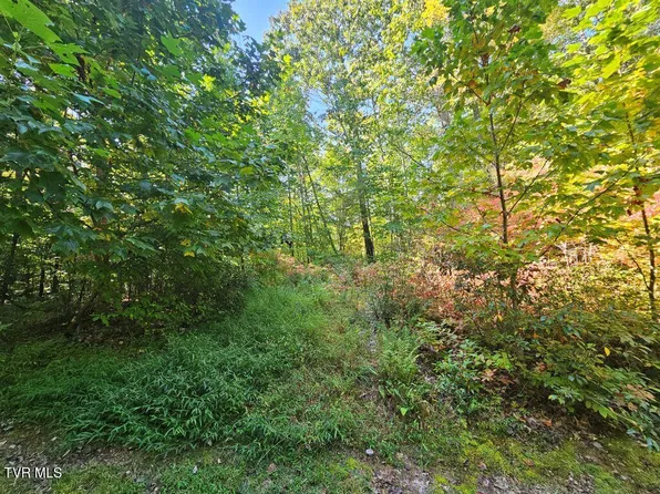 17 Fox Hollow Dr, North Tazewell, VA 24630