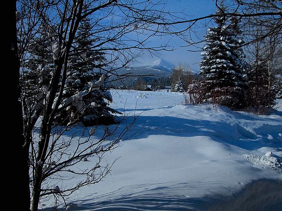 View from front door