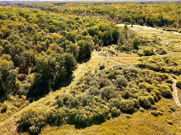 93rd St, Hillman, MN 56338