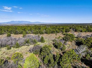 4 Road J7, Egnar, CO 81325