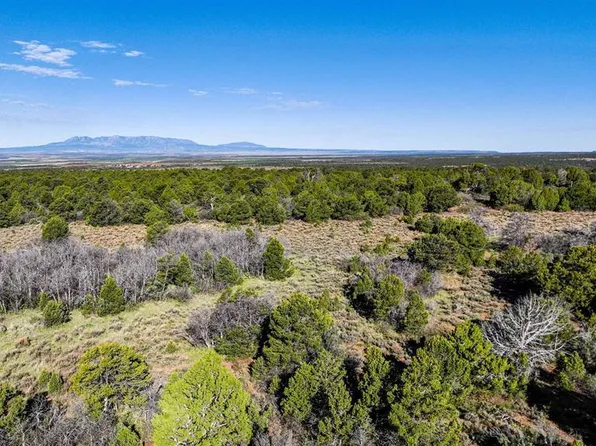 LOT 4 Road J.7, Egnar, CO 81325