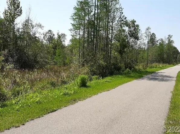 0 Maytown Rd, Oak Hill, FL 32759