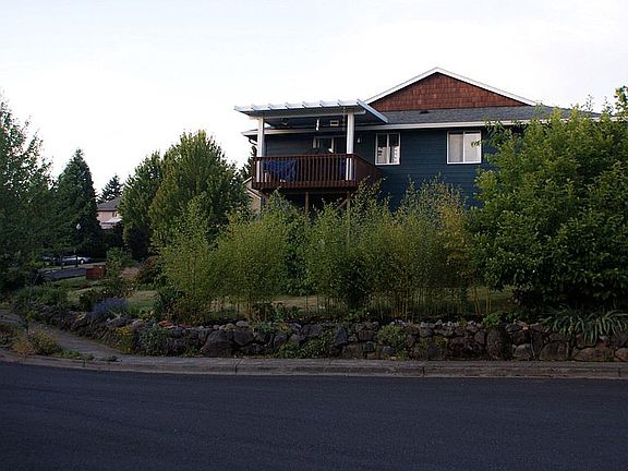 Backyard view from a quiet cul-de-sac.