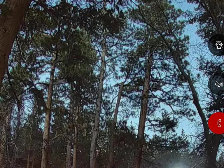 sunset in the back caught on security camera