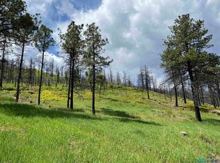 181 & 182 Consuelo, Rociada, NM 87742