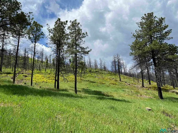 181 & 182 Consuelo, Rociada, NM 87742