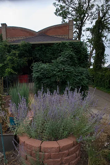 front of house with planters