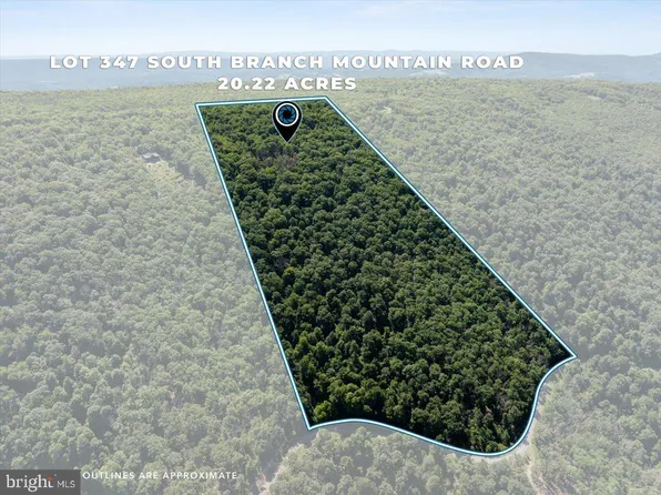 347 S Branch Mountain Rd, Moorefield, WV 26836