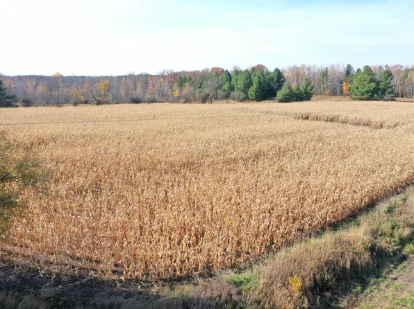 Xxx Lara Rd, Grantsburg, WI 54840