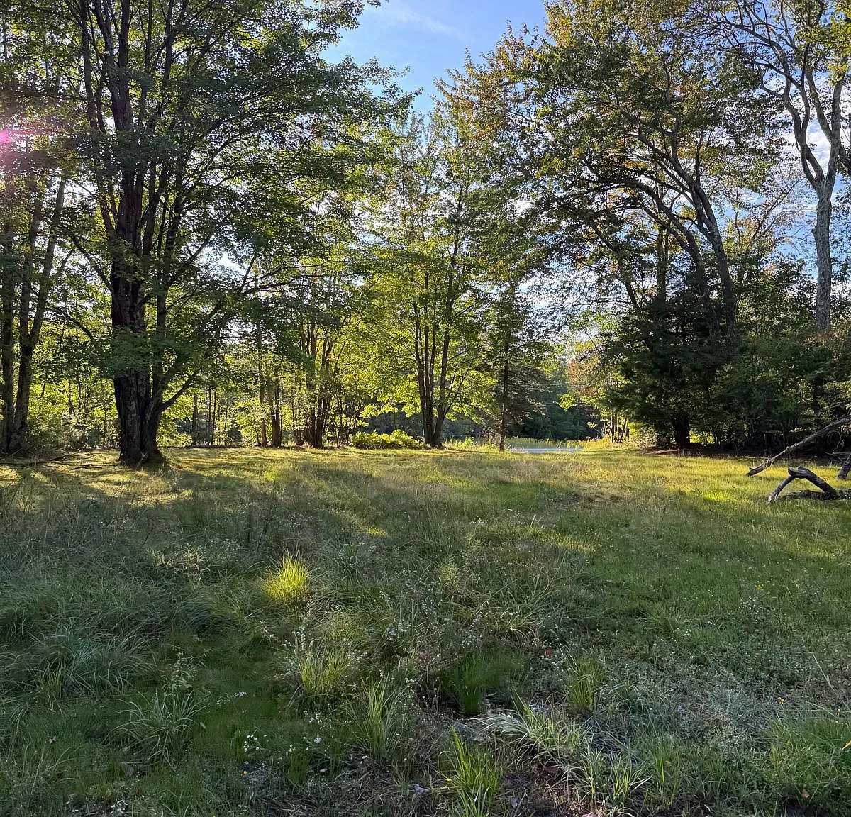 3 bed, $2,150 — Photo 4