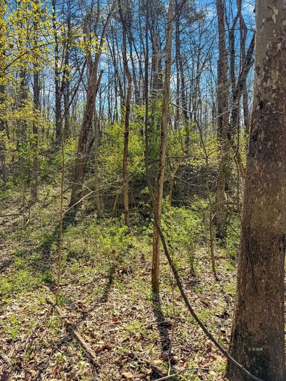 Real estate listing image
