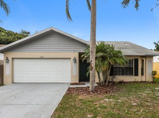 11320 Silverleaf Ct, Riverview, FL 33579