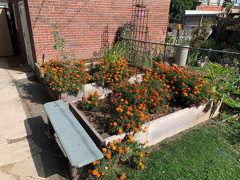 Garden beds for veggies or flowers.