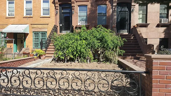 Rented by Rapid Realty Cobble Hill | media 25