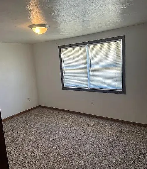 245 Laurel Dr — Photo 5