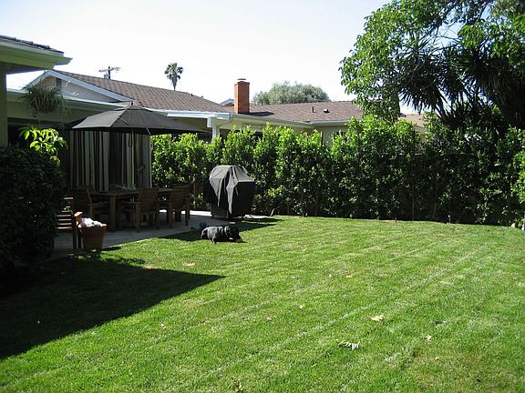 back yard