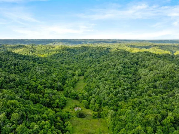 0 Black Branch Rd, Burkesville, KY 42717