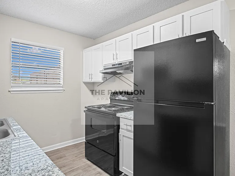 THE PAVILION APARTMENTS — Photo 25