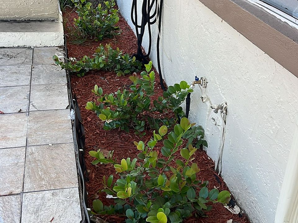 Landscaping outside.