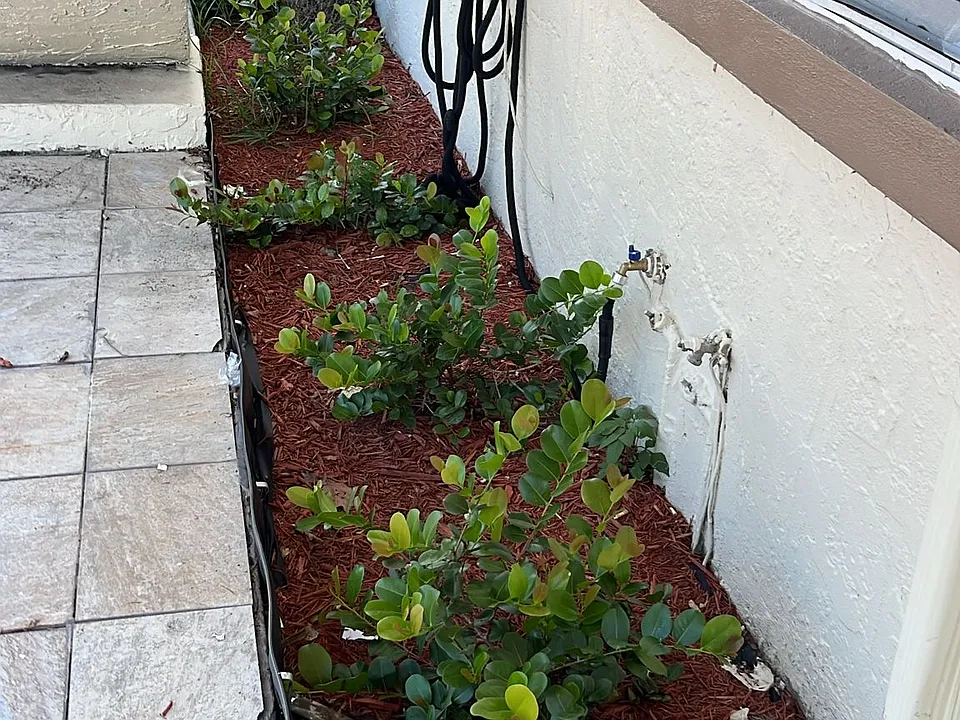 Landscaping outside.