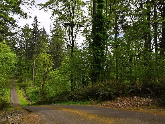 5th image of 0 SE Maple Hill Ln