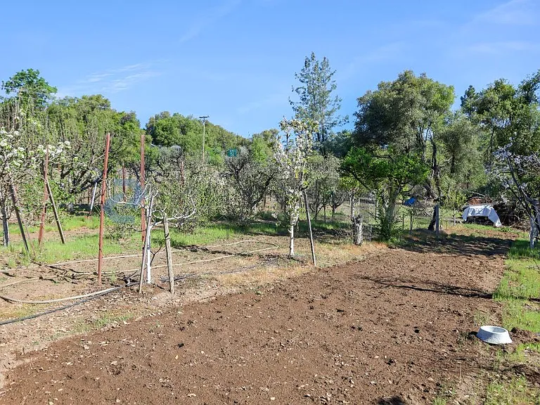 Fruit Orchard