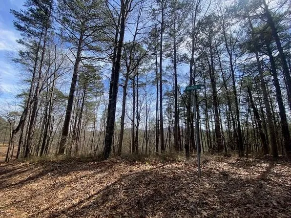 483 Marque Ln NE, Ranger, GA 30734