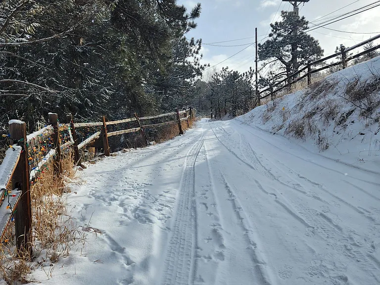 Driveway