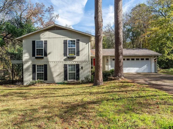 203 Treetop Ln, Hideaway, TX 75771